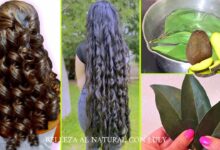 ¡Cómo obtener un cabello súper largo con hojas de aguacate! ¡increíble! Beneficios/Recetas Parte 1 🥑