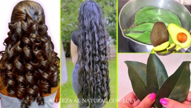 ¡Cómo obtener un cabello súper largo con hojas de aguacate! ¡increíble! Beneficios/Recetas Parte 1 🥑