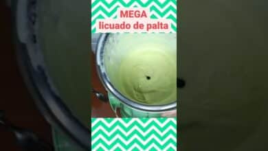 MEGA batido de.... aguacate!  !  !  🥑🥛🍵 #aguacate #recetas #rico #licuado #licuado